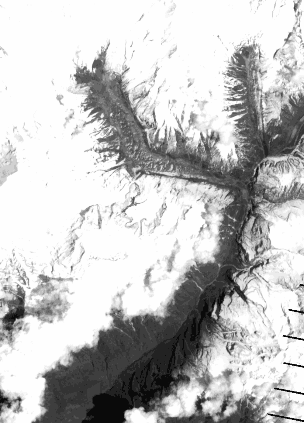 Grayscale satellite image of the same reach on 6 May 2012, the day after the flood, the channel freshly scoured.